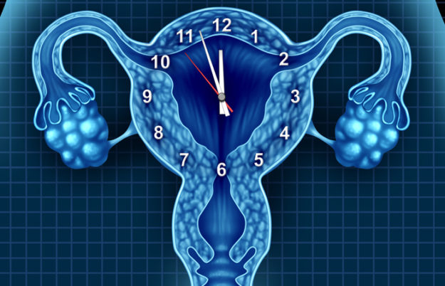 Biological Clock
