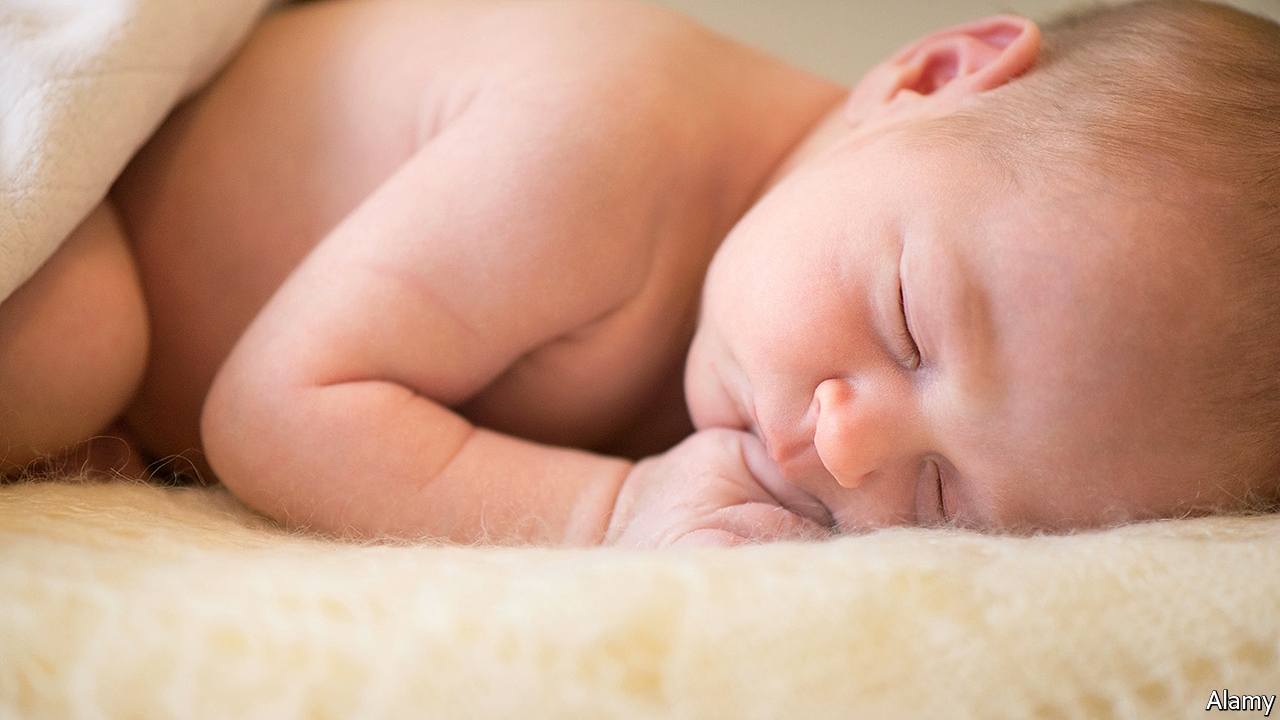 Carrying a child for someone else should be celebrated—and paid