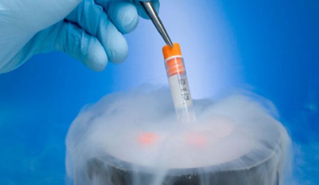 Cryopreservation
