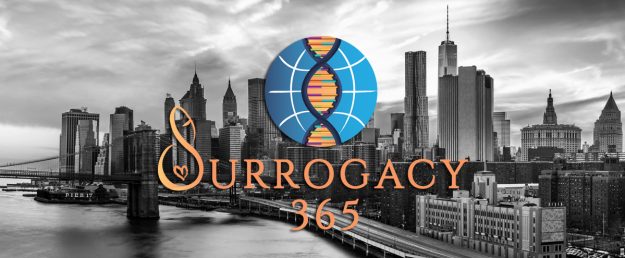 surrogacy365-SN